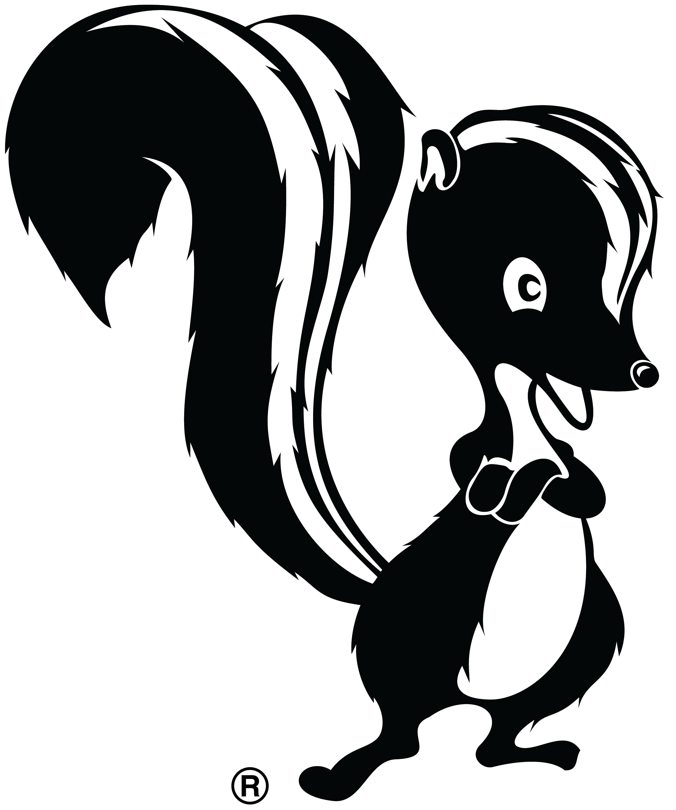 Skunk Works®