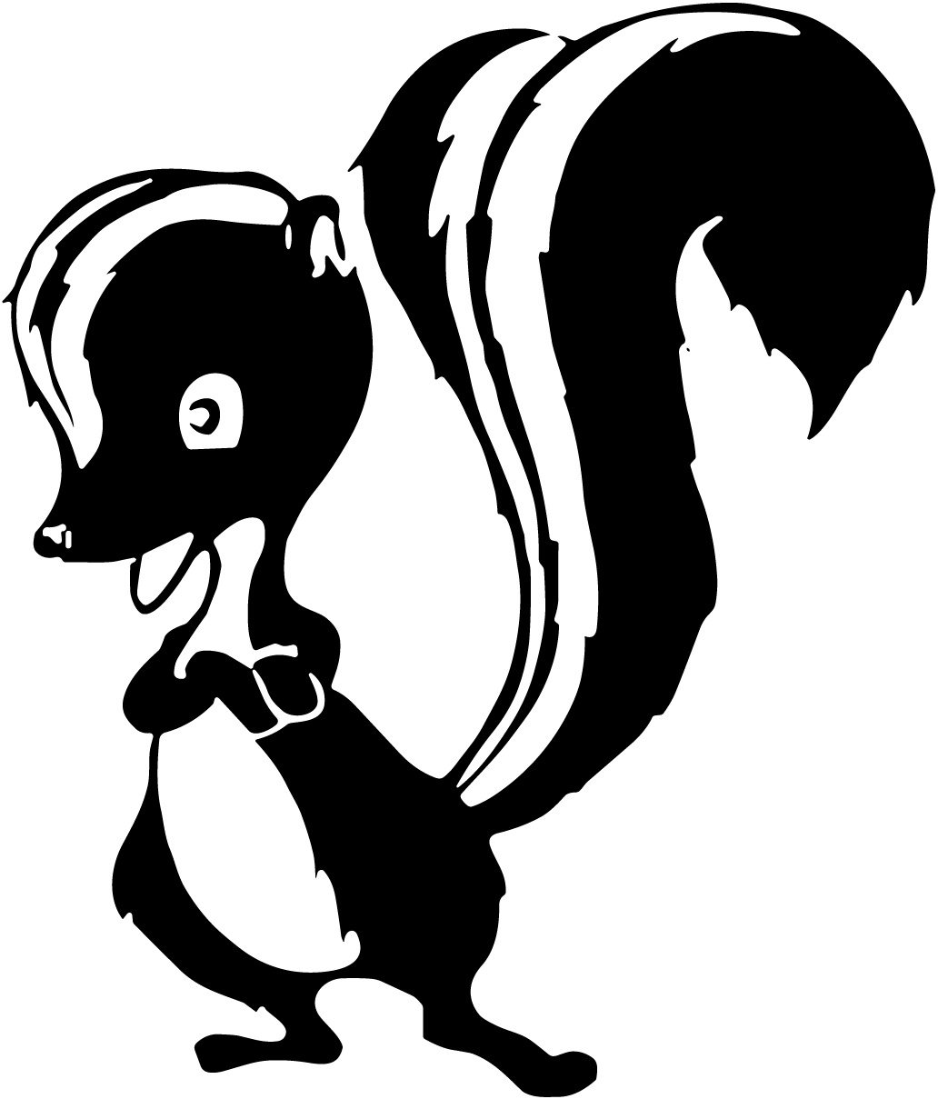Skunkworks